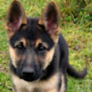 Meet your Posher, Cassilyn